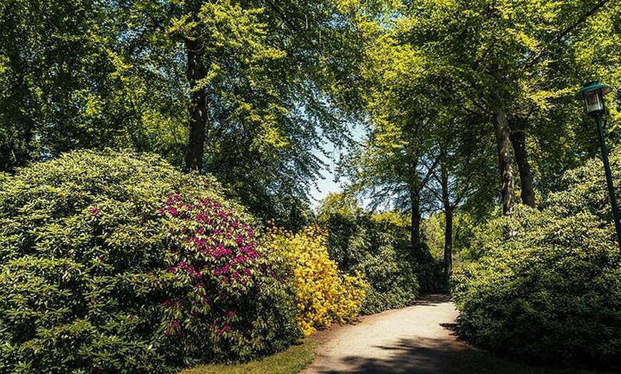 Image 6: Rundfahrt durch Graal Müritz