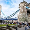 Image 1: Ultimate London Tour 30 Top London Sights with Blue Badge Guide