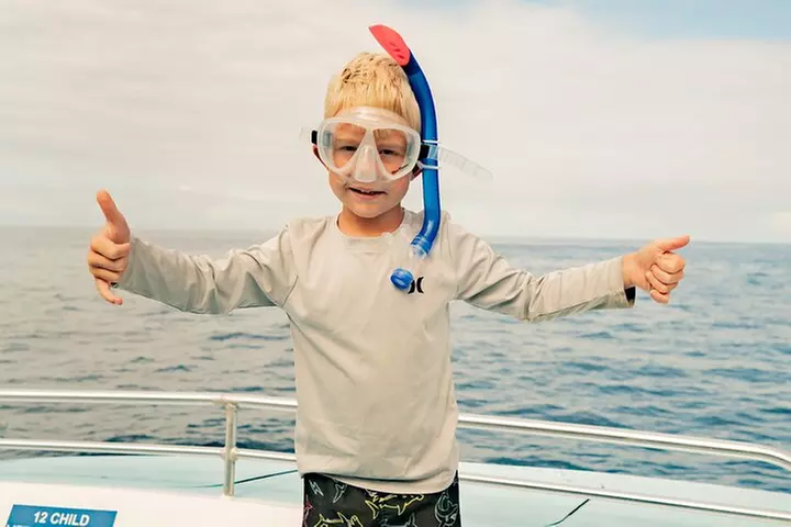 Deluxe Snorkel & Dolphin Watch Aboard a Luxury Catamaran from Kailu...