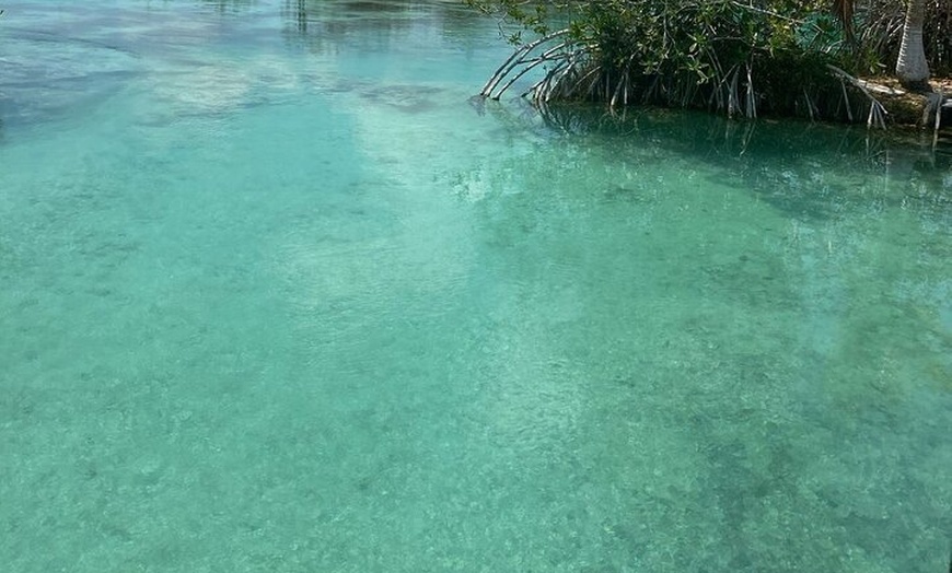 Image 17: Rapids EN Bacalar Tour from Cancun and Riviera Maya