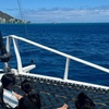 Image 13: Effortless Luxury Sailing Cruises