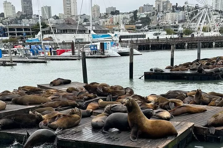 Private Luxury Car Tour in San Francisco Hotel Kabuki