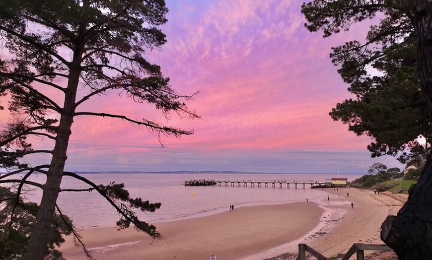 Image 16: Phillip Island Penguin Parade and Wildlife Tour from Melbourne