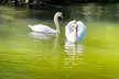 Public Lake Austin Boat Tour with Full Sun Shading - 2 Hours - Second Medium
