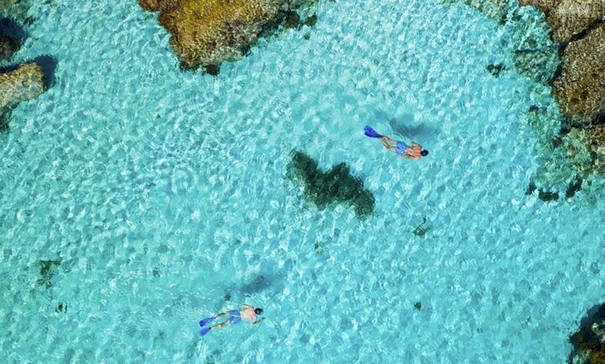 Image 2: Quokkas Delight Rottnest Island