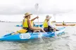 2-Hour Dolphin Kayak & Snorkel Tour on the Broadwater - Image 5