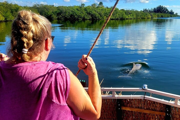 2 hour Dolphin Sightseeing Tour in Melbourne Florida