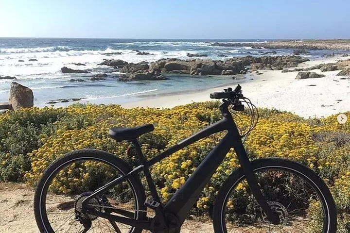 17-Mile Drive Electric Bike Guided Tour