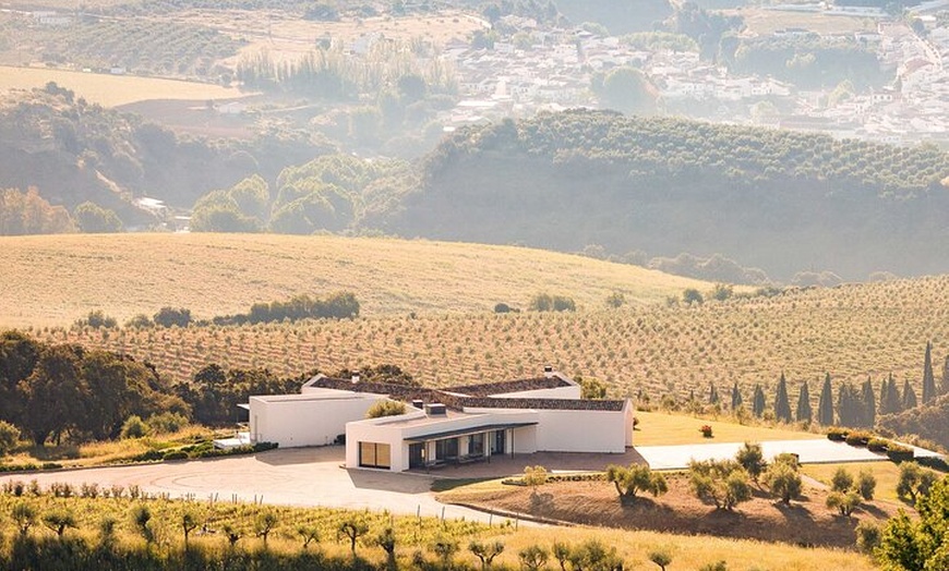 Image 13: Desde Málaga: Ronda, Cata de vinos y aceites de oliva Premium Grupo...