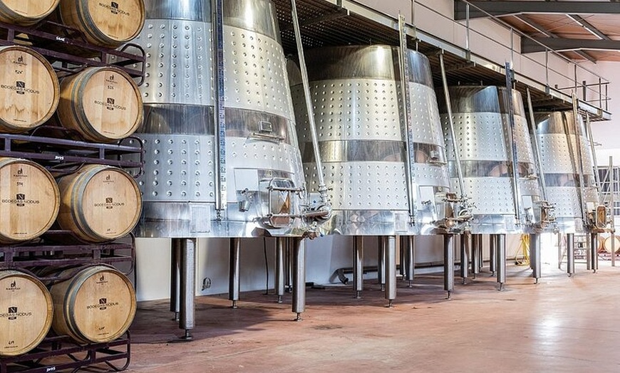 Image 6: Excursión por el viñedo de Valencia : Brunch rústico a la parrilla ...