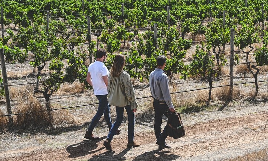 Image 3: Discover Voyager Tour and Seasonal Lunch