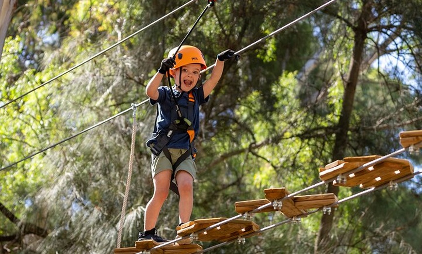 Image 2: Aerial Fun & Ziplining for Our Littlest Adventurers in Salisbury