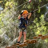 Image 2: Aerial Fun & Ziplining for Our Littlest Adventurers in Salisbury