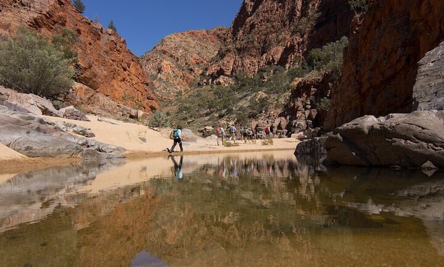 Image 22: 3-Day Kings Canyon & West MacDonnell Ranges 4WD Camping Tour