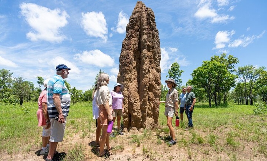 Image 7: Litchfield National Park Tour with Wetlands or Crocodile Cruise