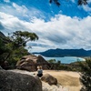 Image 21: 5 Day Island Icons Tassie Day Tour Bundle