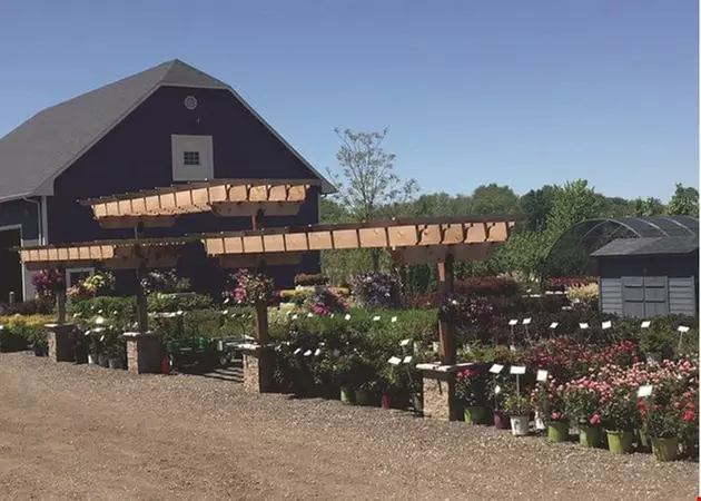 $20 For $40 Toward Plants, Shrubs & More
