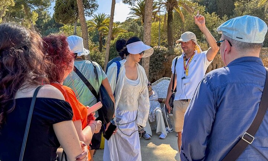 Image 9: Tour por la tarde del Park Güell