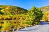"Private Acadia" & Mount Desert Island Tour (full day, six hours)
