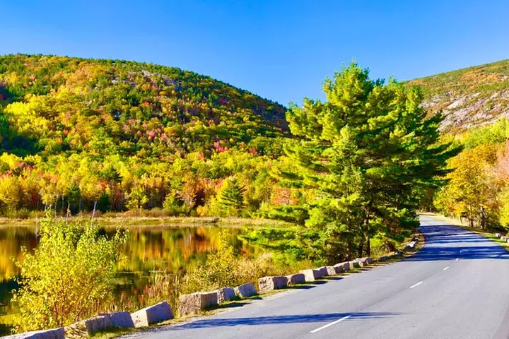 "Private Acadia" & Mount Desert Island Tour (full day, six hours) - Primary Image