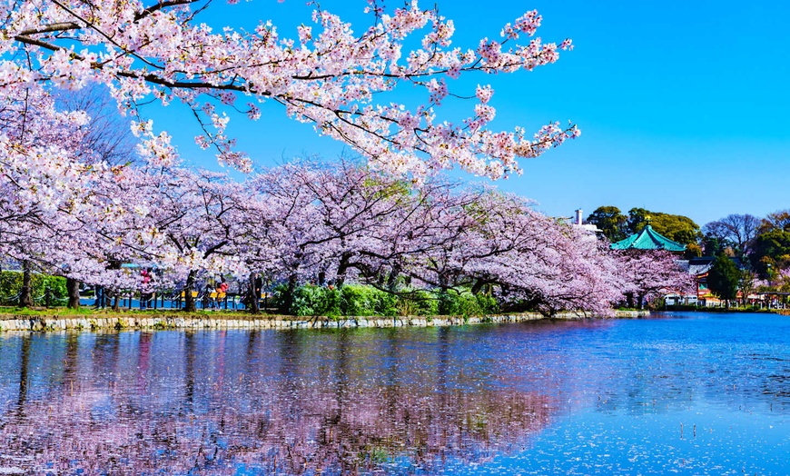 Image 6: ✈ GIAPPONE | Da Tokyo a Osaka - Alla scoperta del Giappone da nord ...