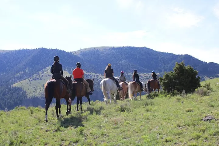 Blue Flower Trail Ride