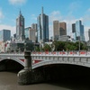 Image 3: Best of Melbourne City & Wildlife Sanctuary for Cruise Passengers