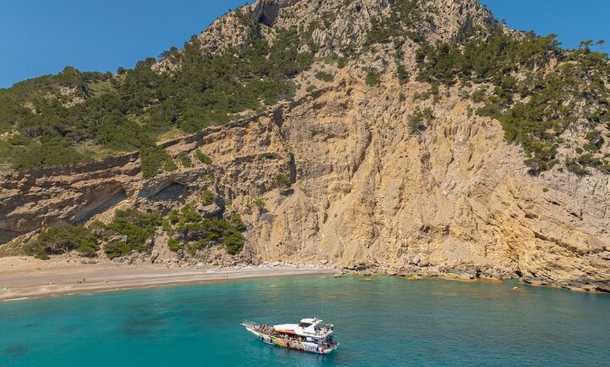 Image 10: Dolphin Adventure : Avistamiento de Delfines en Barco Rápido en Mal...