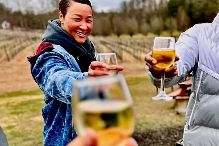 Helen N. Georgia Private Winery Tour, Dine and Shop from Atlanta - Primary Image