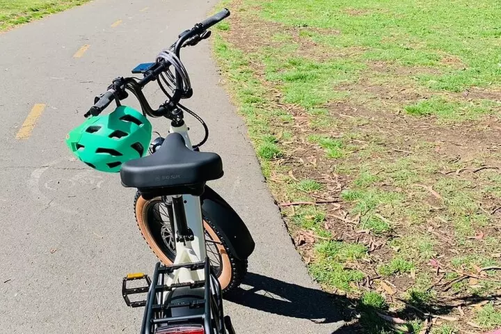 Summer of Love San Francisco Guided eBike Tour Golden Gate Park