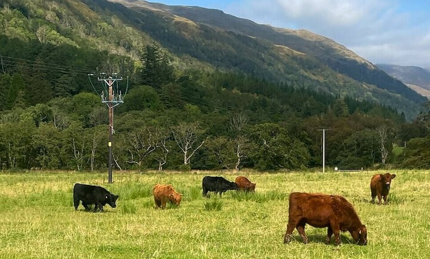 Image 10: Private 3 Day Tour to Skye Loch Ness and Glencoe from Glasgow