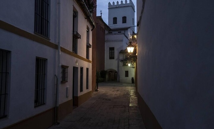 Image 13: Sevilla Fácil : Centro Histórico y Judería + Barrio de Triana