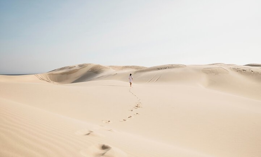 Image 4: Small Group Port Stephens + Dolphins + 4WD/sandboarding ex Sydney