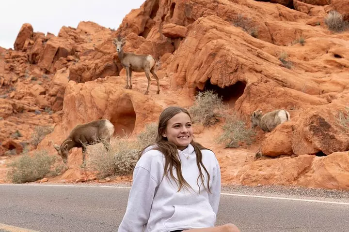 Valley of Fire and Red Rock Canyon Day Tour from Las Vegas