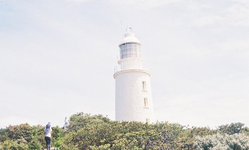 Image 26: 6 Day Island Icons Tassie Day Tour Bundle