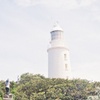 Image 26: 6 Day Island Icons Tassie Day Tour Bundle