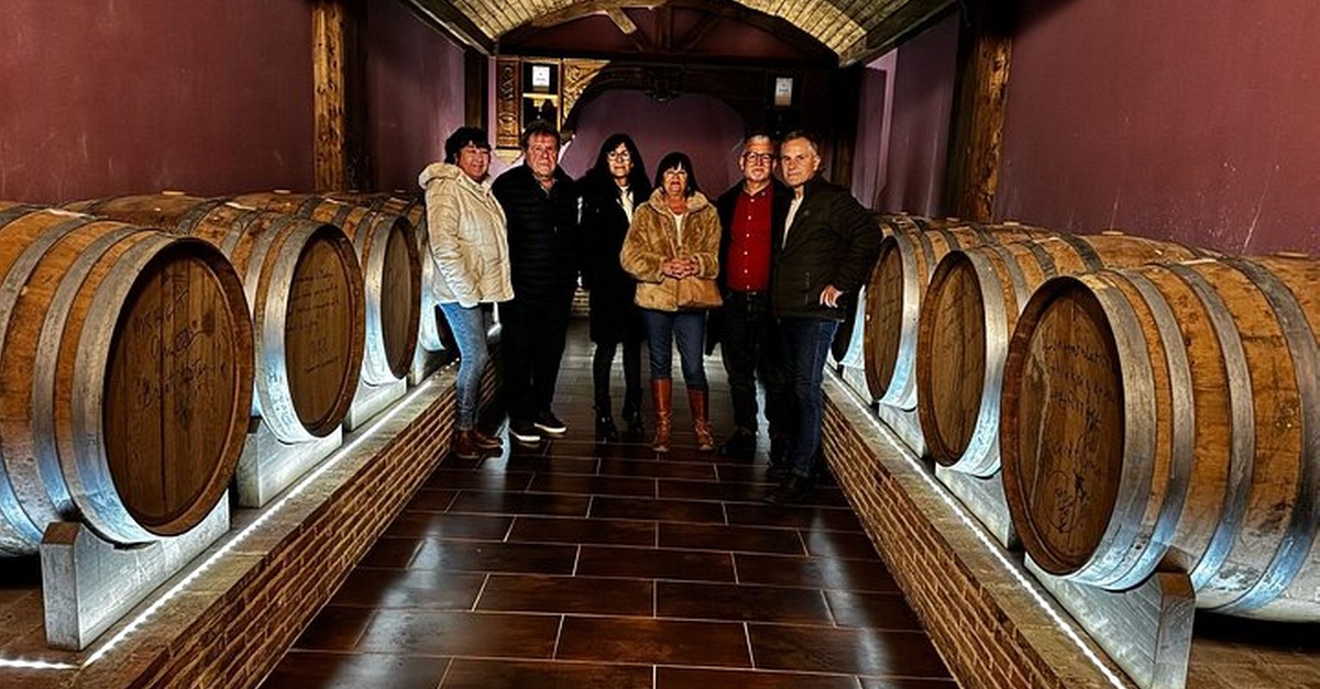 Recorrido vinícola con cata de vinos, comida y traslado en Alicante