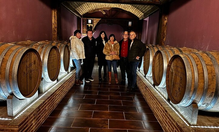 Image 13: Alicante; Recorrido Vinícola Bodega Cata Vinos, Comida y Traslado