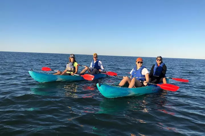 Sunset Dolphin Kayak Tours