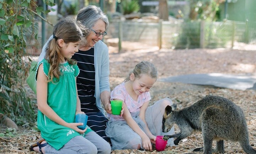 Image 5: Blue Mountains Day Tour with Scenic World and Wildlife Park Entry