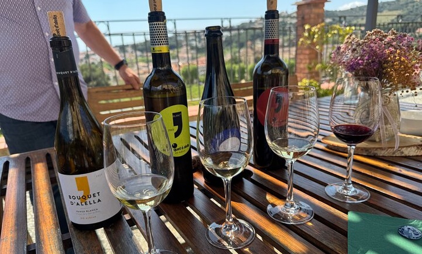 Image 15: Gaudí Unveiled & Premium Wine Escape - Tour Privado