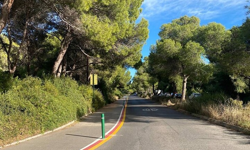 Image 3: Aventura en bicicleta desde Valencia a Humedales y playas de la Alb...