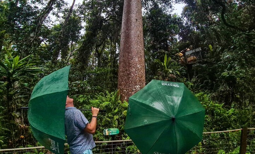 Image 6: Private Luxury Tour Above the Canopy Kuranda Experience