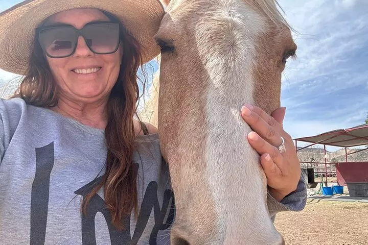 Sacred Horse Medicine Journey near Sedona