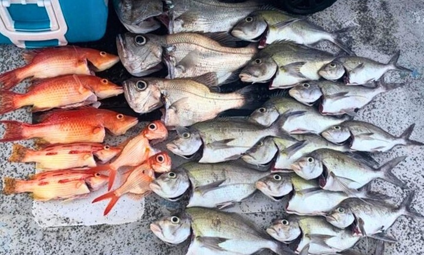 Image 6: Manly Catch and Cook Ocean to Plate Experience