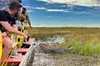 Everglades Airboat Adventure and Biscayne Bay Boat Tour