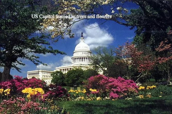 Washington DC Photo Safari: Monuments and Memorials Tour - Primary Image