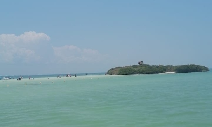 Image 8: Isla Holbox Day Tour from Cancun with Lunch Included