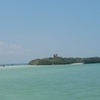 Image 8: Isla Holbox Day Tour from Cancun with Lunch Included