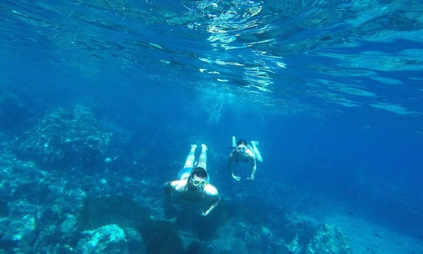 Image 7: Tour Familiar en Kayak y Snorkel en San Jose Cabo de Gata